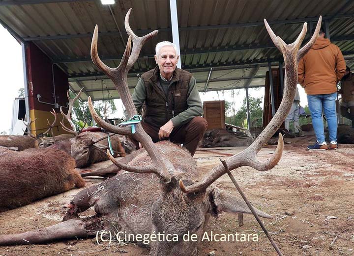 Resultado Montería Sabanillas 2025 Cinegética Alcántara